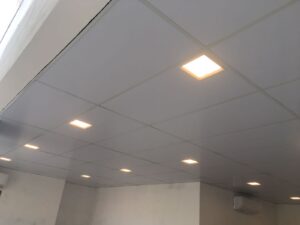 Forro Modular PVC